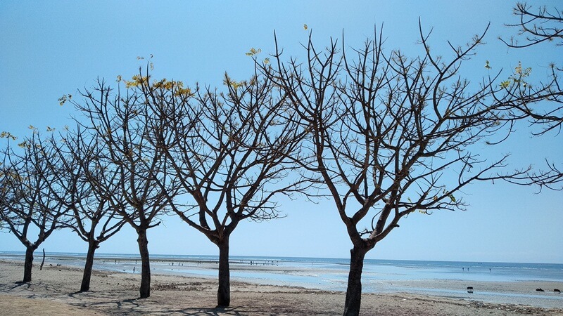 Pantai Atapupu